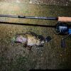 Thumbnail of new posts 118