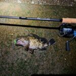 Thumbnail of new posts 103