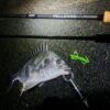 Thumbnail of new posts 094