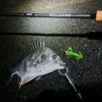 Thumbnail of new posts 150