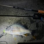 Thumbnail of new posts 049