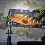 Thumbnail of related posts 167