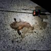 Thumbnail of new posts 147