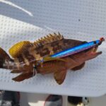 Thumbnail of new posts 048