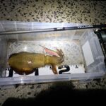 Thumbnail of new posts 088