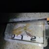 Thumbnail of new posts 049