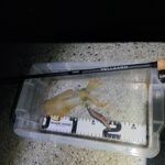 Thumbnail of new posts 082