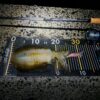 Thumbnail of new posts 199