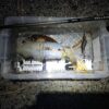 Thumbnail of related posts 178