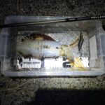 Thumbnail of post image 000