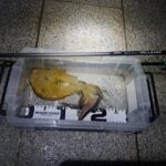 Thumbnail of new posts 076