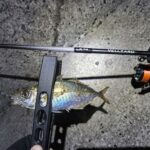 Thumbnail of new posts 036