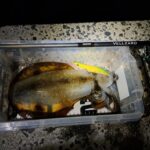 Thumbnail of new posts 122