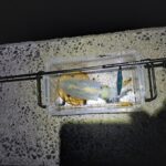 Thumbnail of new posts 106