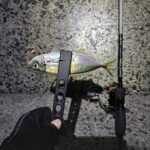 Thumbnail of post image 058