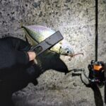 Thumbnail of new posts 036