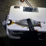 Thumbnail of new posts 024