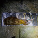 Thumbnail of new posts 072