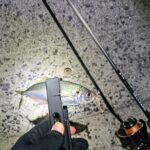 Thumbnail of new posts 078