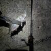 Thumbnail of post image 049