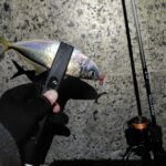 Thumbnail of post image 047