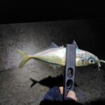 Thumbnail of post image 047