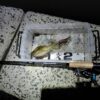 Thumbnail of new posts 112