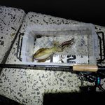 Thumbnail of post image 084