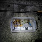 Thumbnail of new posts 157