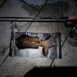 Thumbnail of new posts 171