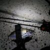 Thumbnail of new posts 193